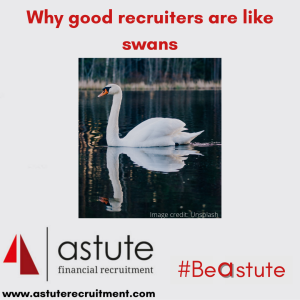 Why good recruiters are like swans